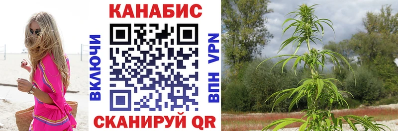 Где продают наркотики Кириши Бошки Шишки A PVP ГАШ Меф мяу мяу